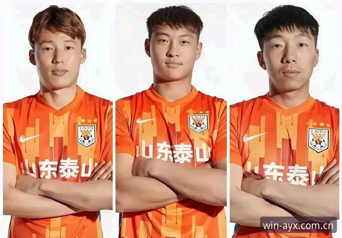 中国足协第三批禁足名单深度解读：ayx爱游戏平台用户观赛指南与行业反思教程